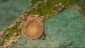 LES FORAMINIFERES, INDICATEURS D'ENVIRONNEMENT
